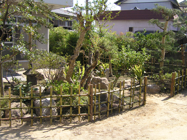 古木のざくろ