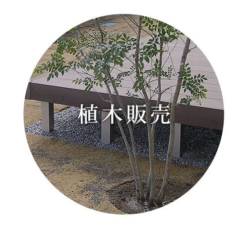 植木販売