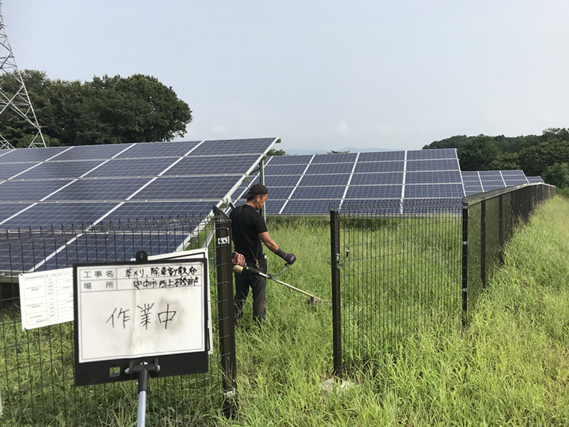 除草作業